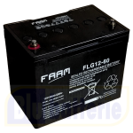 FLG12-60 FAAM, Batteria GEL VRLA Ciclica (Deep Cycle) Ermetica Ricaricabile al Piombo 12V 60Ah M6. Dim.25,9x16,8xH.21,4cm