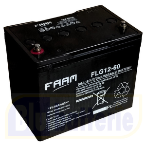 Vendita FLG12-60 FAAM, Batteria GEL VRLA Ciclica (Deep Cycle) Ermetica  Ricaricabile al Piombo 12V 60Ah M6. Dim.25,9x16,8xH.21,4cm FAAM - FLG12-60