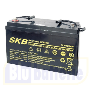 BATTERIA SERVIZI 100 Ah/C20