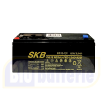 SKB SK12-3,8, Batteria AGM ermetica ricaricabile al piombo 12V 3,8Ah. Term. Faston 4,8mm.