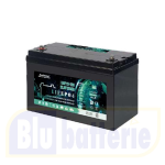 LDP12-100, Batteria LifePo4 12,8V 100Ah con bluetooh EVEREXCEED, Term. M8, Dim.32,8x17,2xH.22cm.