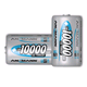 Rechargeable Batteries Size D / LR20